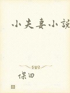 小夫妻小说