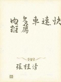 肉多车速快的书推荐