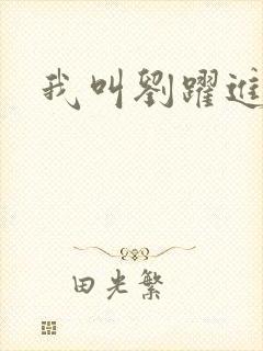 我叫刘跃进下载