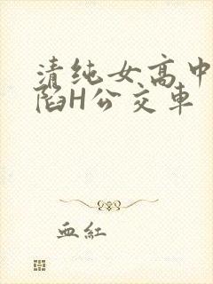 清纯女高中生沦陷H公交车
