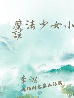 魔法少女小圆小说