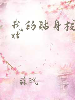 我的贴身校花txt