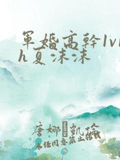 军婚高干1v1h夏沫沫