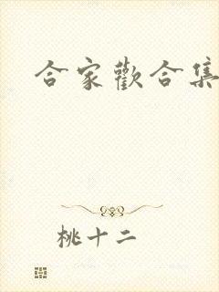 合家欢合集