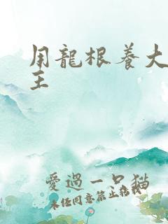 用龙根养大的公主