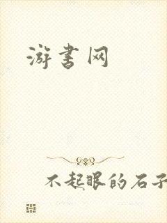 游书网