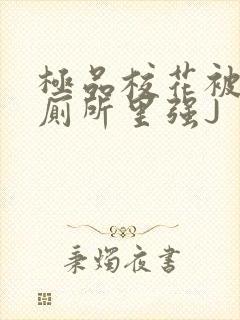 极品校花被拉到厕所里强J