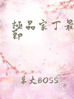 极品家丁最新章节