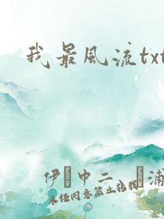 我最风流txt