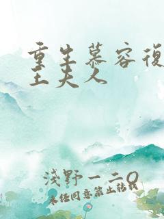 重生慕容复之弄王夫人