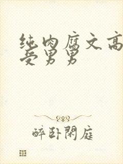 纯肉腐文高H总受男男