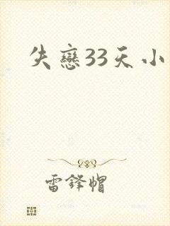 失恋33天小说
