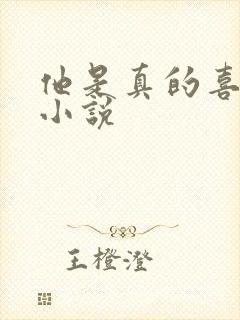 他是真的喜欢你小说