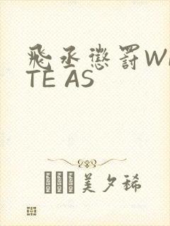 飞丞惩罚WRITE AS