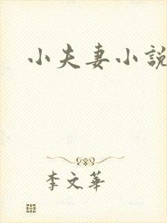 小夫妻小说
