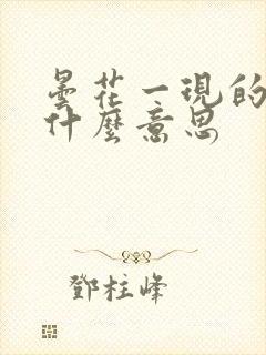 昙花一现的现是什么意思