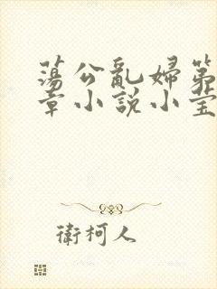 荡公乱妇第51章小说小莹