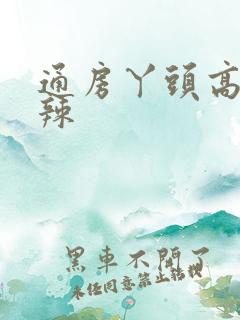 通房丫头高h肉辣