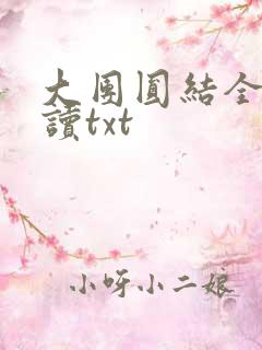 大团圆结全文阅读txt
