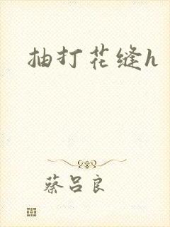 抽打花缝h
