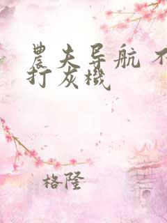 农夫导航 不准打灰机