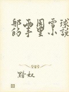 那两团雪球在他的手里小说