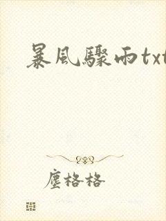 暴风骤雨txt