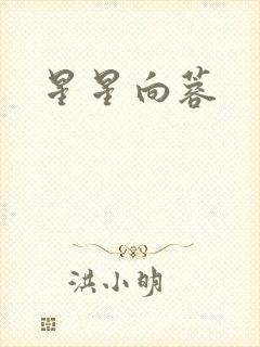星星向蓉