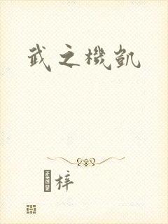 武之机凯