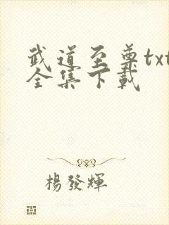 武道至尊txt全集下载