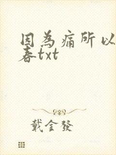 因为痛所以叫青春txt