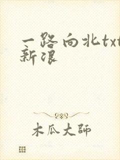 一路向北txt新浪