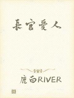 长官爱人