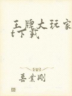 王牌大玩家txt下载