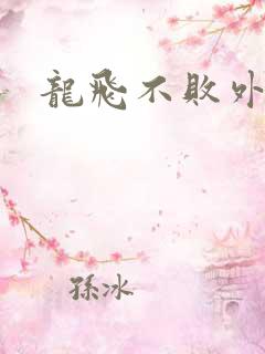 龙飞不败外传