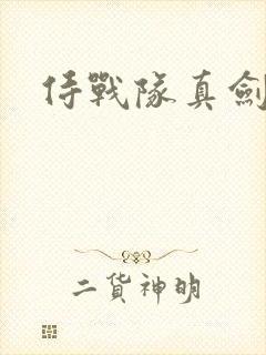 侍战队真剑者2
