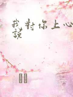 我对你上心了小说