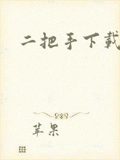 二把手下载