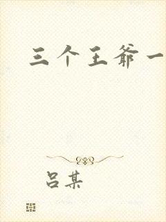 三个王爷一个妃