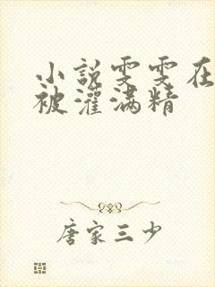 小说雯雯在工地被灌满精