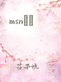 msnС˵