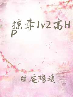 掠夺1v2高HP