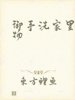 御手洗家里的事物