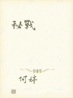 秘战