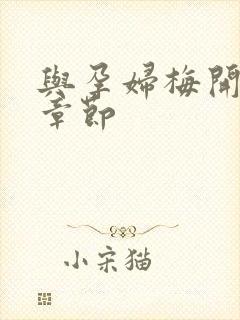 与孕妇梅开三度章节