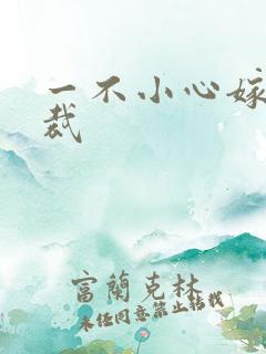 一不小心嫁给总裁