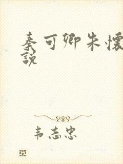 秦可卿朱怀镜小说