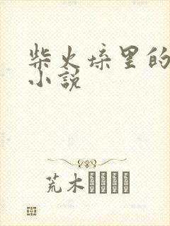 柴火垛里的疯狂小说