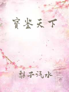 宝鉴天下