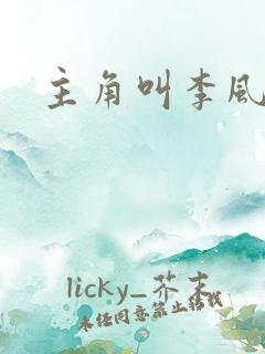 主角叫李风起